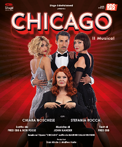 Chicago visual 250x300